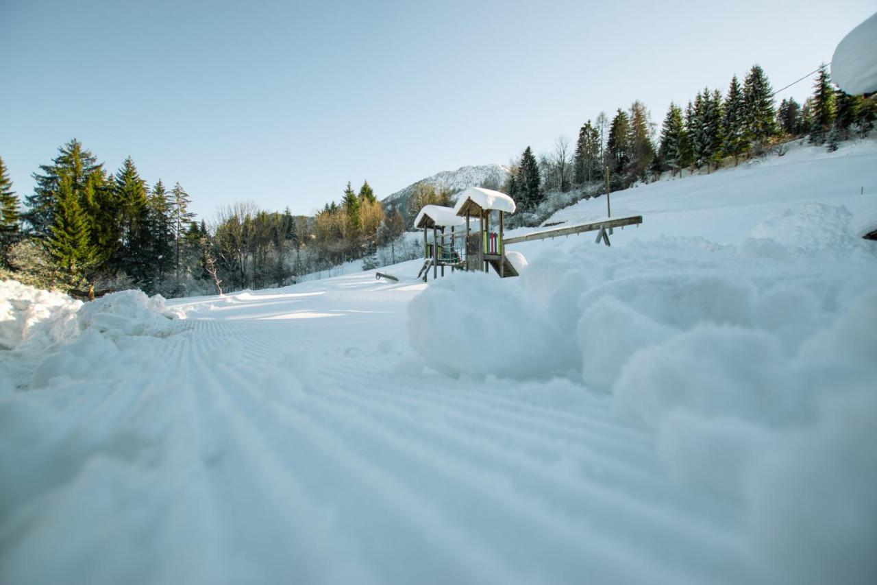 Chalets Und Apartments Hauserhof Nassfeld Schlanitzen Εξωτερικό φωτογραφία