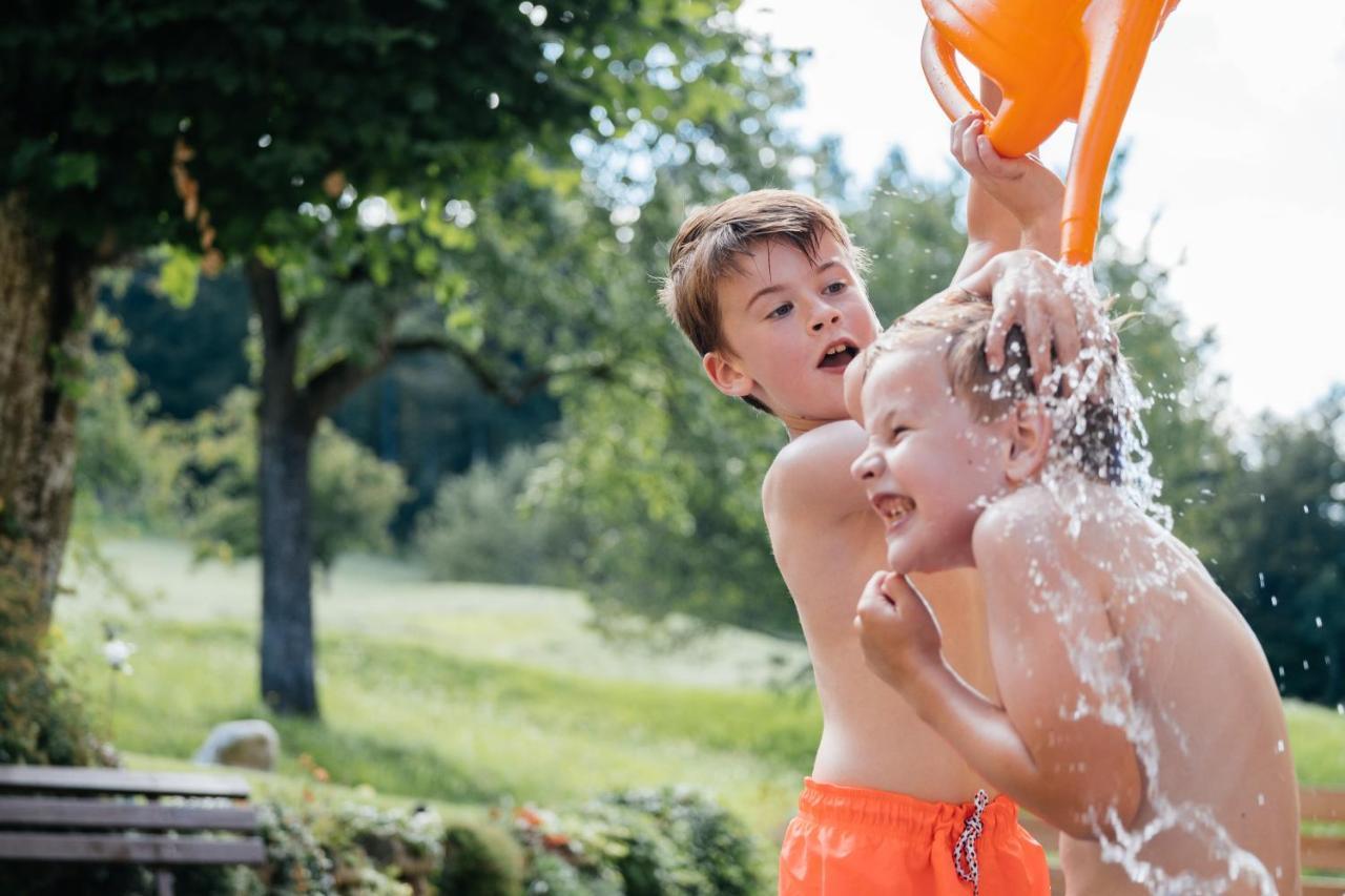 Chalets Und Apartments Hauserhof Nassfeld Schlanitzen Εξωτερικό φωτογραφία